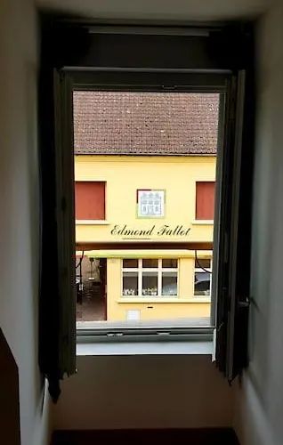 Cosy Burgundy Бон